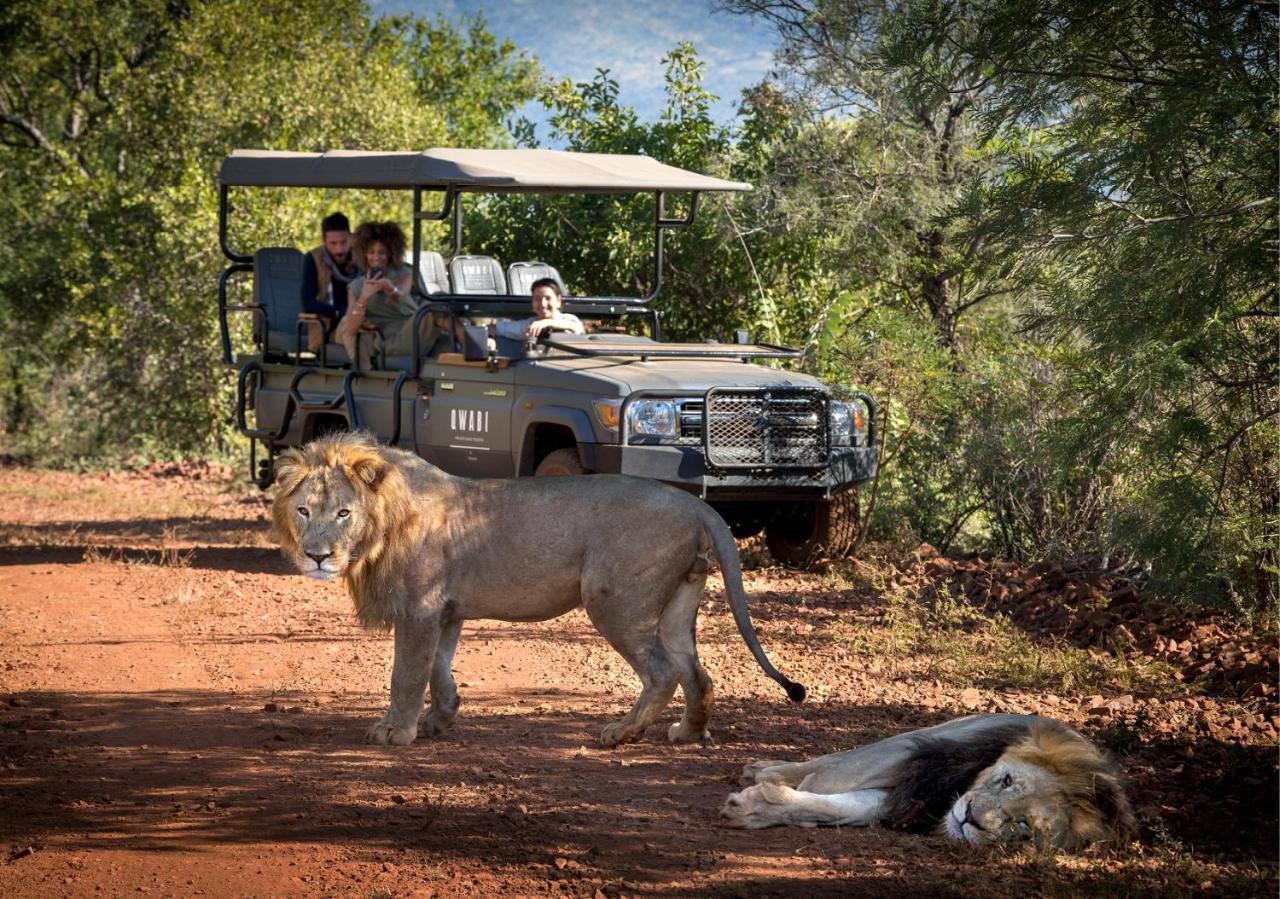 Babohi At Qwabi Private Game Reserve By Newmark Bela-Bela Extérieur photo